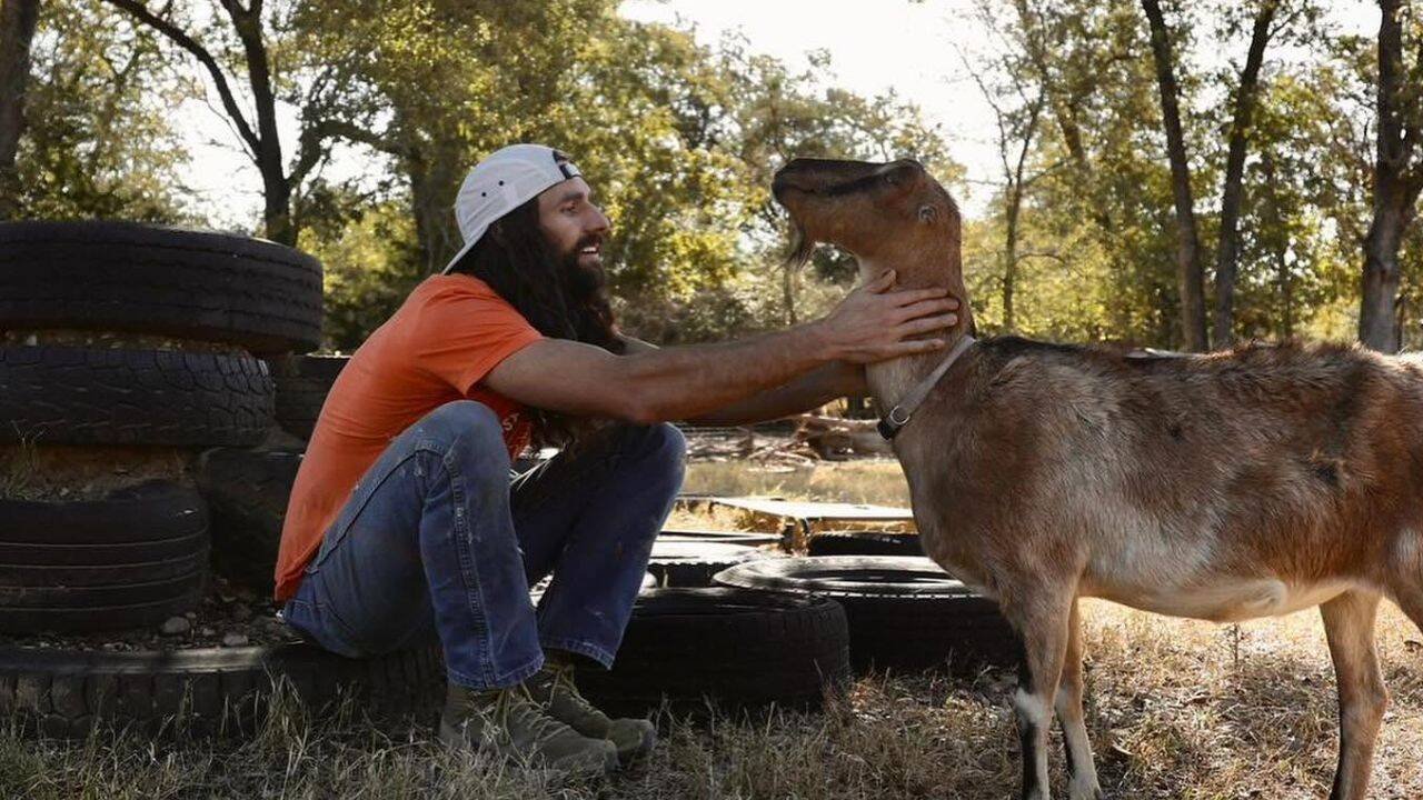 Image credit: Austin Farm Sanctuary Facebook