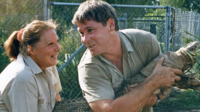 PC: Wildlife Warriors In Queensland, Steve Irwin and his wife Terri turned an avocado shed into a wildlife rescue hospital in 2004; more than 136,000 animals were treated over the following two decades