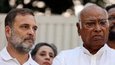 Earlier, bloc had sought permission from Delhi Police for Ashoka Hotel 'Vote chori' row: INDIA bloc to hold 'mock Parliament' to 'impeach' CEC Gyanesh Kumar; mega rally on Nov 1