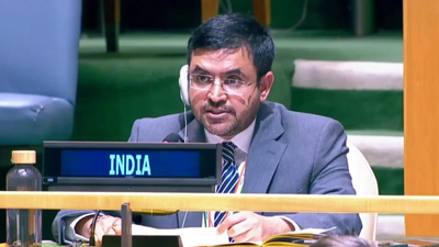 ‘You cannot run with the hares’: India tears into Pakistan’s terror record at UN Pakistan's terror monsters now wreak havoc in its own backyard: India at UN