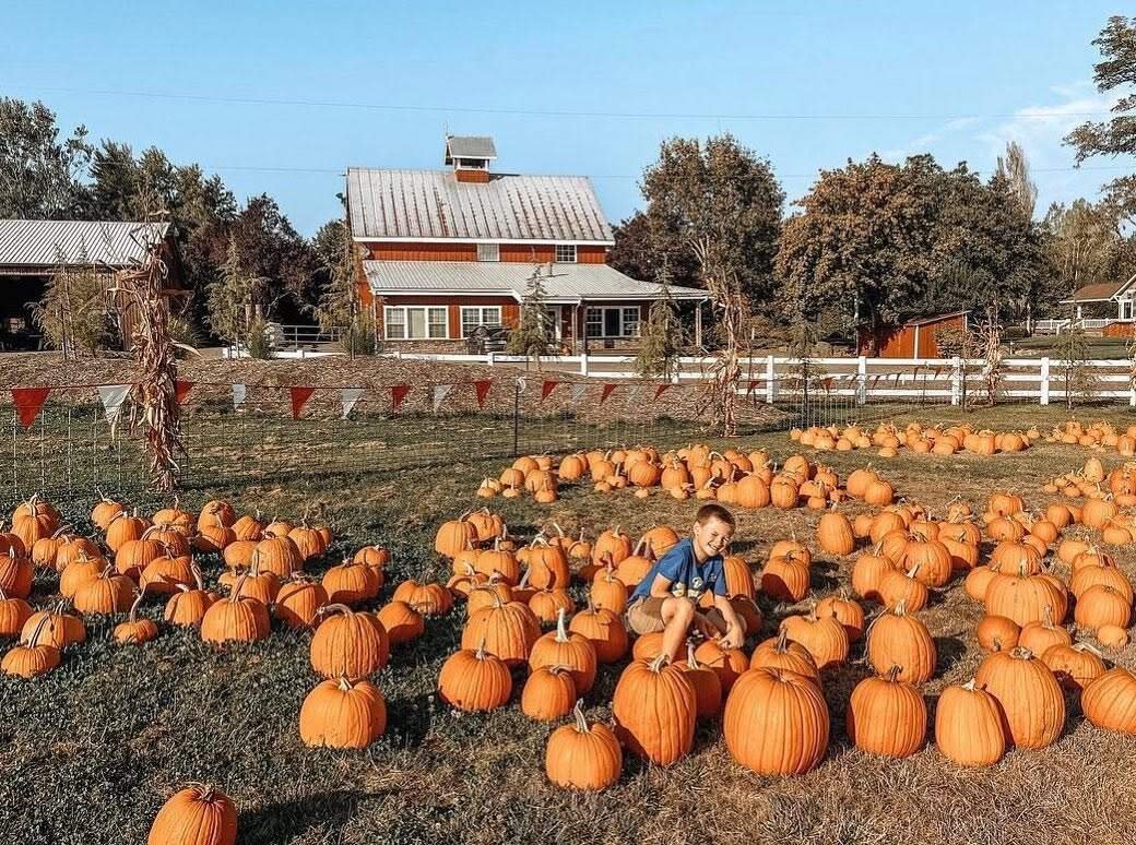 Jacob Roloff and wife Isabel may have to leave the farm where they live and work.