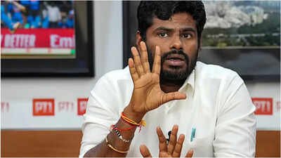‘Felt very happy’: Annamalai welcomes Bhagwat's remarks on Muslims' place in India