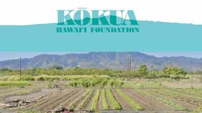 Photo credit: Kōkua Learning Farm In 2019, Jack Johnson's foundation bought neglected farmland in Hawaii; six years later, it reported over 40,000 pounds of produce harvested and more than 2,200 students welcomed on field trips