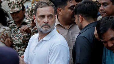 BJP: Rahul Gandhi pushing India towards anarchy, creating north-south divide