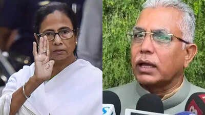 BJP questions TMC’s claim of attack on Mamata 'Makes such claims all the time’: BJP dismisses TMC’s Mamata knife attack allegation