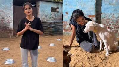 Meet Jagriti Mishra: The animal rescuer standing up for paralysed animals after her shelter was demolished, and how one viral video brought the issue to Delhi’s CM