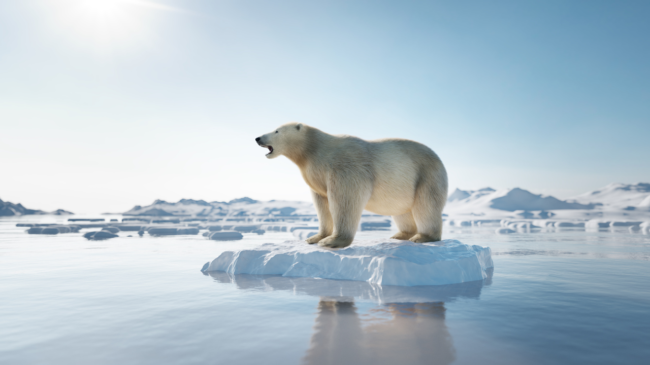 Melting ice caps in the Arctic region