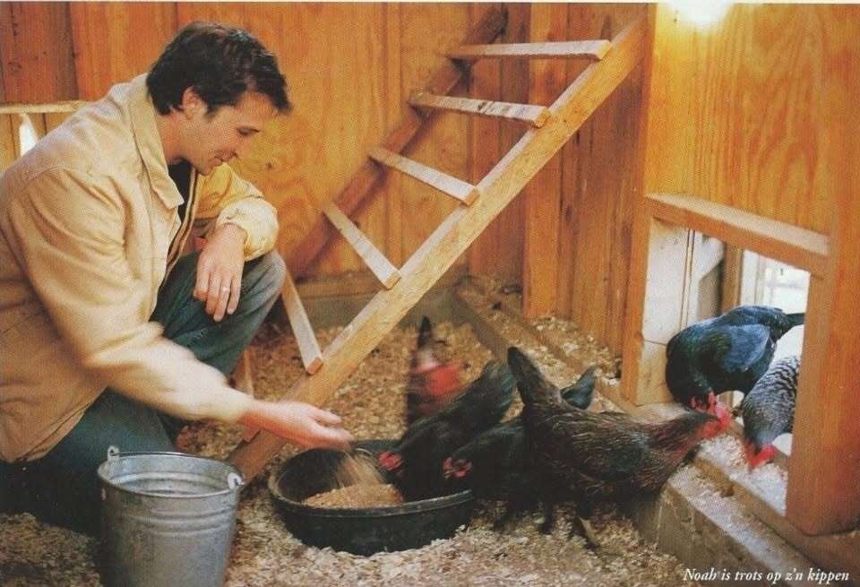 Noah Wyle’s ranch is home to his family and a menagerie of animals.