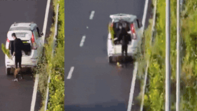 Man in WagonR with ‘POLICE’ sticker caught stealing plant from Delhi-Dehradun Expressway
