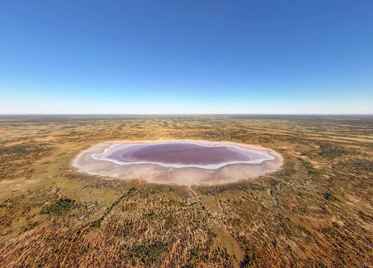 Protecting NSW’s rare pink lakes and wildlife
