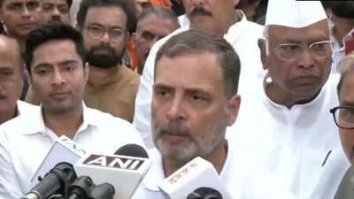 'Criminal conspiracy to hijack India': Rahul ups the ante against govt, CEC
