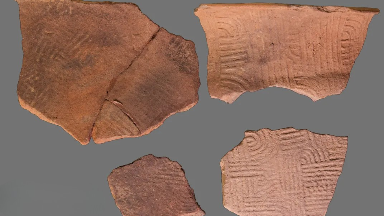 Researchers conducted ancient DNA analysis on three archaeological samples from Etowah<br>