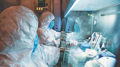 Pneumonic plague fears in Siberia: Trump to speak with Putin, Rubio seeks transparency 'Will call Putin over pneumonic plague,' says Trump - what is happening in Russia?