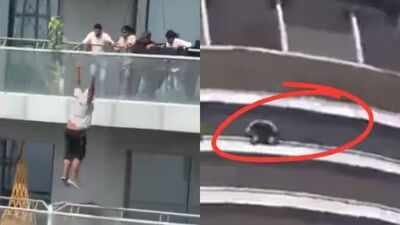 ‘I’m depressed’: What man told AC repair workers before jumping from 41st floor of Noida Supernova building