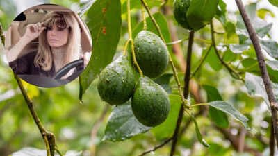Image: Avocado Tree & Sandra Bullock in The Blind Side (2009) In 2007, Sandra Bullock paid $2.725 million for 91 acres near San Diego; she renovated the adobe ranch and built an organic farm with about 1,200 avocado trees before selling the property for $5.6 million