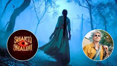 ‘Shakti Shalini’ vs ‘King’: Is Aneet Padda’s horror-comedy sticking to December 24 release despite clash with Shah Rukh Khan’s film? ‘Shakti Shalini’ vs ‘King’: Is Aneet Padda’s horror-comedy sticking to December 24 release despite clash with Shah Rukh Khan’s film?