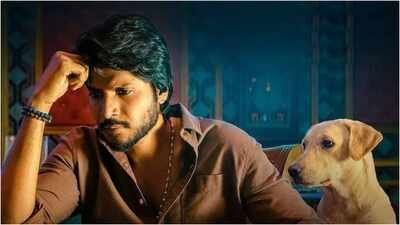 'Sigma' box office collection day 7_ Jason Sanjay's film earns. 'Sigma' box office collection day 7: Jason Sanjay's film earns Rs 8.27 cr India net; Soori's film reaches Rs 100.58 cr