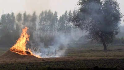 Centre steps up anti-stubble burning drive ahead of peak crop residue season (representative image) Centre asks states to go into ‘mission mode’ to curb stubble burning as farm fires rise in MP, Rajasthan