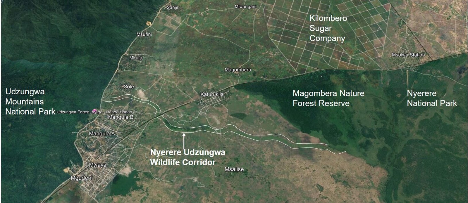 The protected corridor reconnects elephant habitats across Tanzania’s Kilombero Valley.<br>