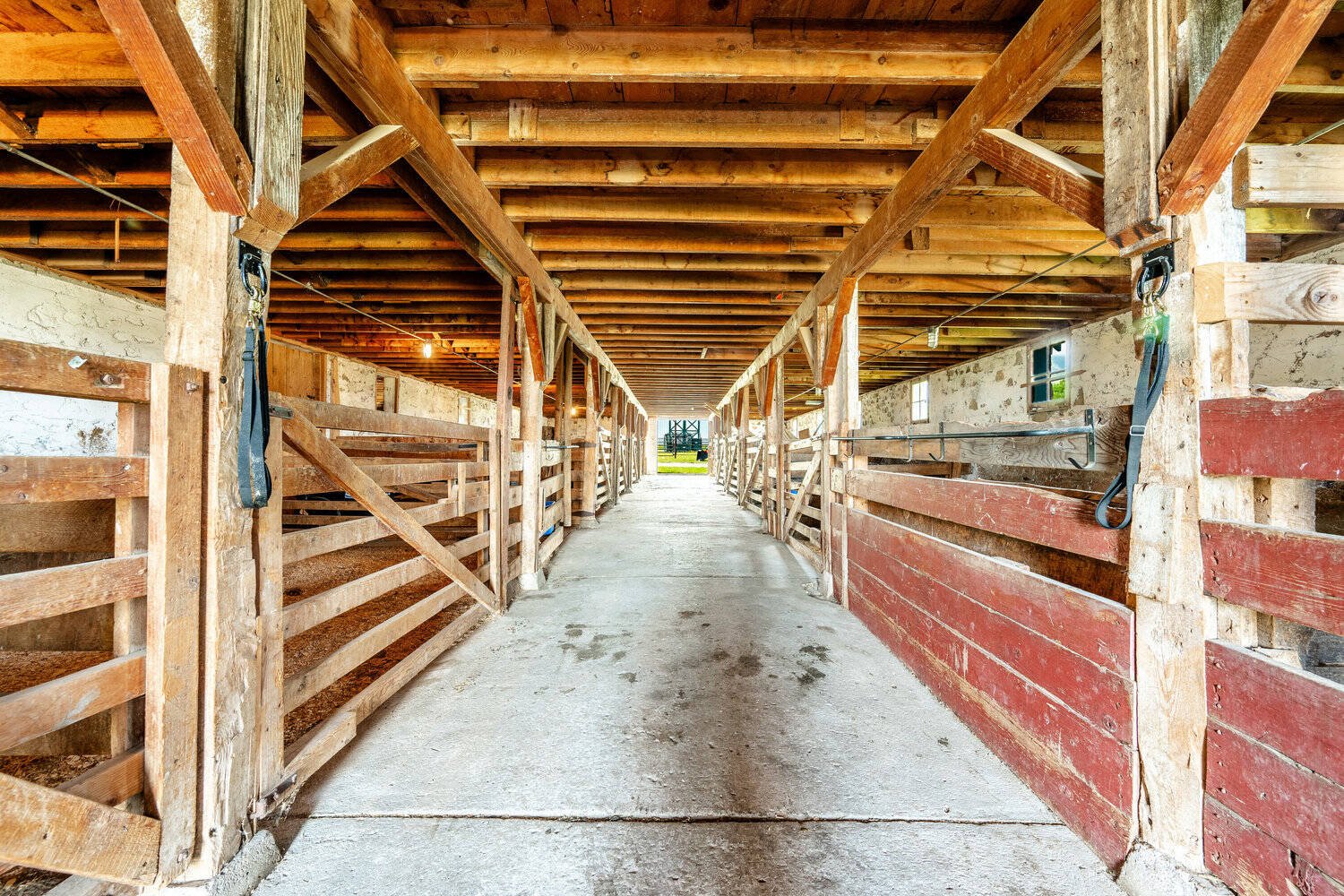 The shed