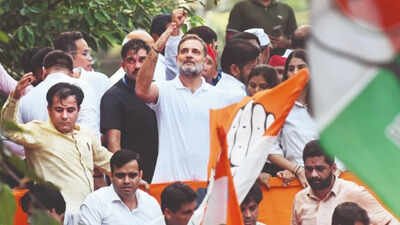 'Already suffered losses': Traders' body urges Rahul Gandhi to defer Delhi rally