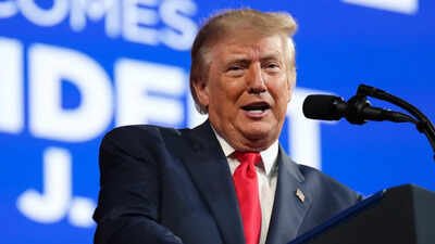 Russia, Ukraine agreed on 'energy ceasefire effective immediately', says Trump