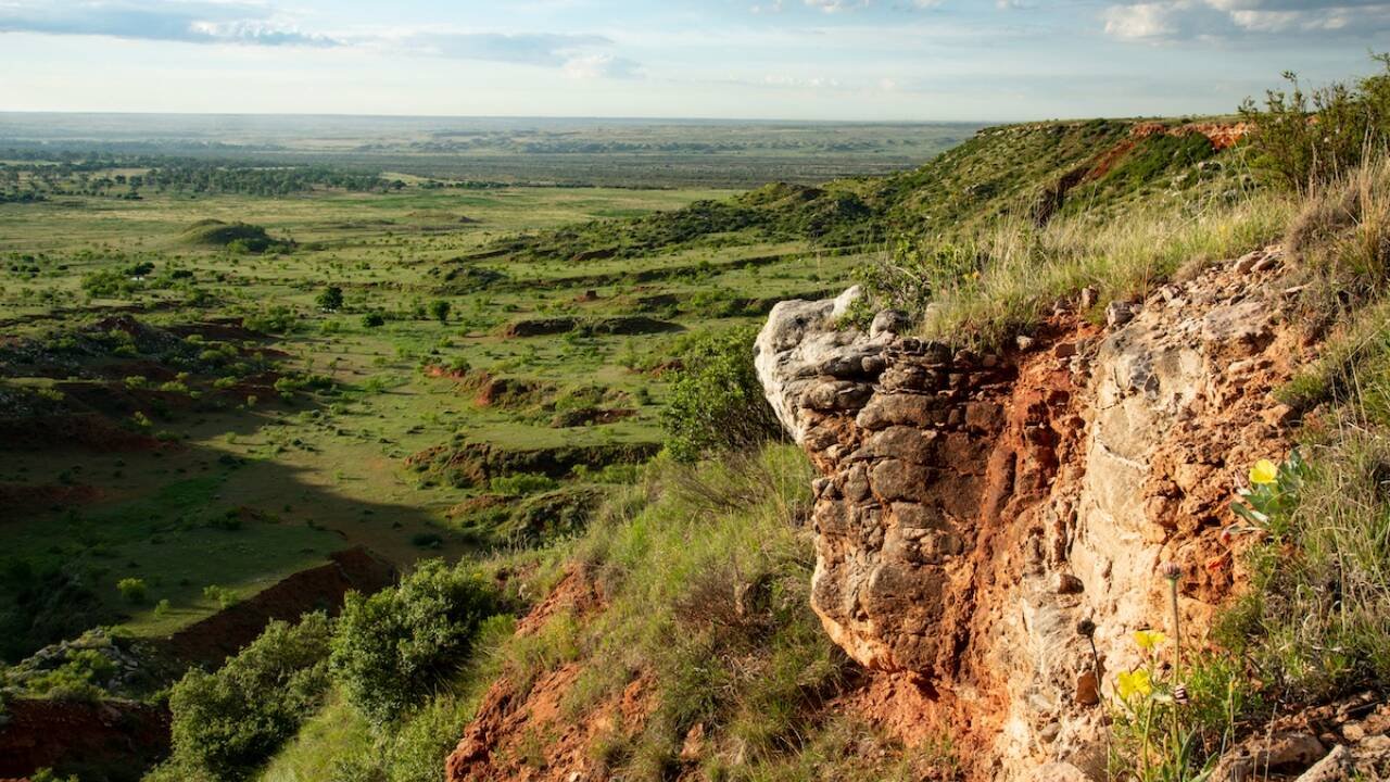 Turkey Track Ranch overview