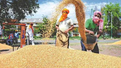 25 paisa/kg wheat MSP hike an 'insult': Samyukta Kisan Morcha
